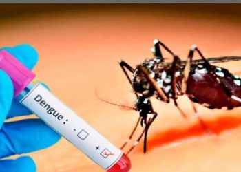 The situation is not right! Entomologists have gone from Colombo to Jaffna! Sri Lanka Latest News