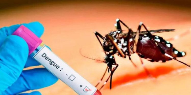 The situation is not right! Entomologists have gone from Colombo to Jaffna! Sri Lanka Latest News