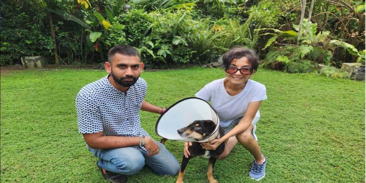 Taj Samudra & Rescue Animals team up to help the voiceless