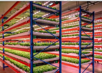 Emirates Flight Catering fully acquires Bustanica, the world’s largest indoor vertical farm