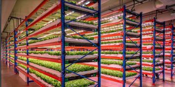 Emirates Flight Catering fully acquires Bustanica, the world’s largest indoor vertical farm