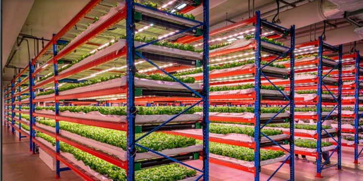 Emirates Flight Catering fully acquires Bustanica, the world’s largest indoor vertical farm