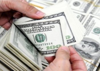 Foreign Investment in Sri Lankan Government Securities Plummets to Record Low