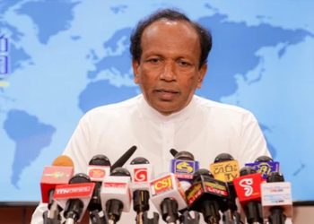 Updated laws with imprisonment needed to address cattle theft