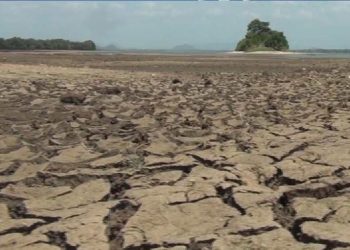 Sri Lanka Faces Increased Water Demand Amidst Dry Weather