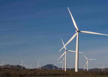 Adani’s 500 MW wind power project: Delay prompts visit to the Power and Energy Minister