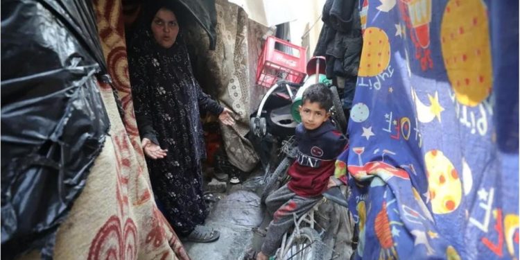 Children starving to death in northern Gaza – WHO