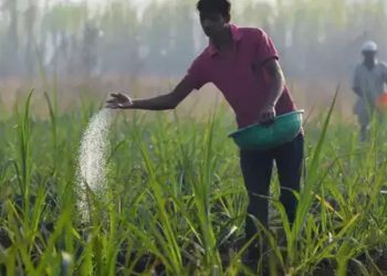 Controversial nano-fertiliser transaction: Govt. yet to act on audit recommendations
