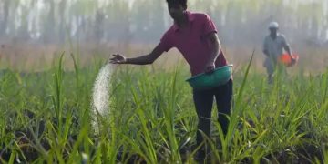 Controversial nano-fertiliser transaction: Govt. yet to act on audit recommendations