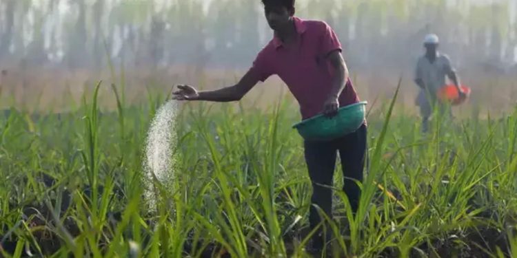 Controversial nano-fertiliser transaction: Govt. yet to act on audit recommendations