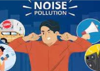 Strengthening Laws to Prevent Noise Pollution