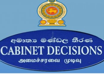 General Election: Cabinet green lights proposal for constitutional amendment