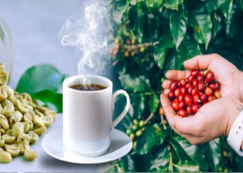 Ceylon coffee is the next best beverage from Sri Lanka