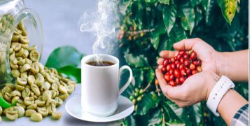 Ceylon coffee is the next best beverage from Sri Lanka
