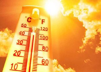 Psychiatrist Confirms: High Temperatures Impact Mental Health, Decrease Children’s Cognitive Abilities