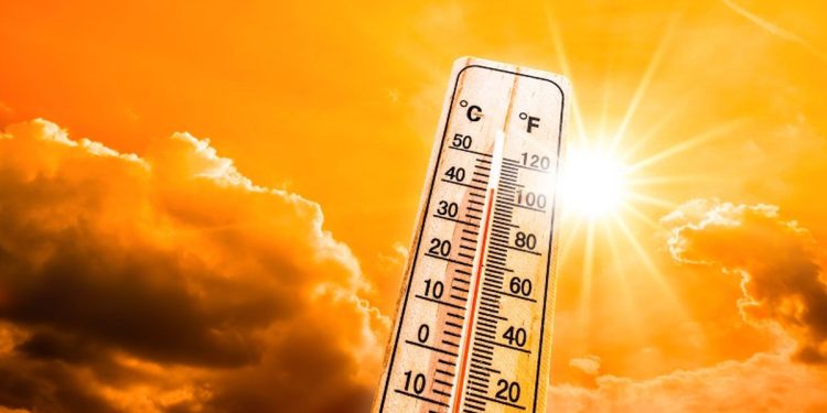 Heatwave Warning: Brace for Mental Pressure Surge! Colombo University Professor Urges Preemptive Counseling! VIDEO I Sri Lanka Latest News