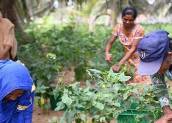 Integrated Water Resources Management: Creating a Positive Ripple Effect