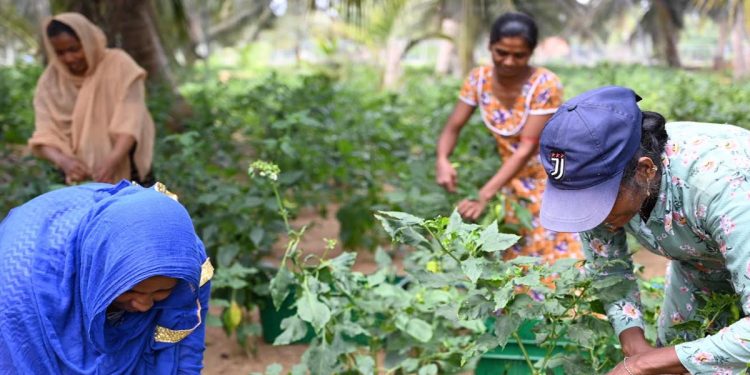 Integrated Water Resources Management: Creating a Positive Ripple Effect