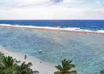 On Maldives’ request, India clears export of food items including rice, wheat