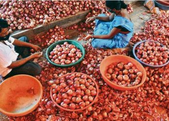 India allows exports of 10,000 tonnes onion to UAE