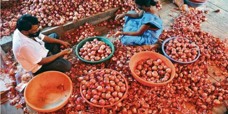 India allows exports of 10,000 tonnes onion to UAE