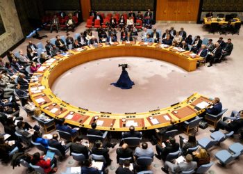 US Reacts To Elon Musk’s Remarks Backing Permanent UNSC Seat For India