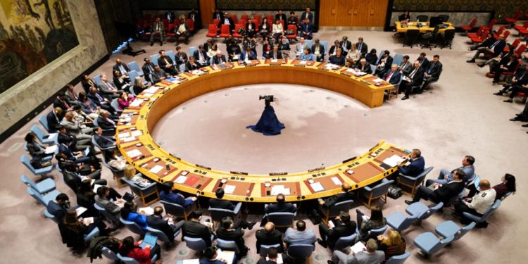 US Reacts To Elon Musk’s Remarks Backing Permanent UNSC Seat For India