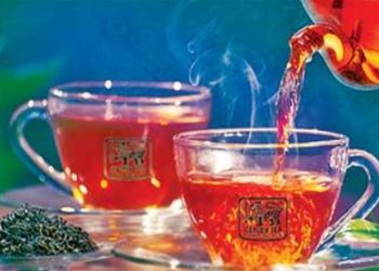 Gulf Tensions Pose Threat to Ceylon Tea Industry