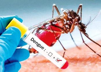 Dengue Cases Surge Past 21,000 in 2024