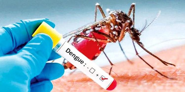 Dengue Cases Surge Past 21,000 in 2024