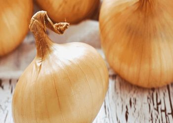 India loosens onion export ban to help neighbours