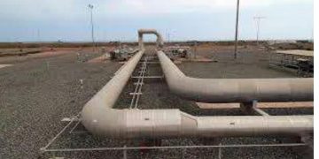 Government Weighs Minimum Purchasing Clause for Indo-Lanka Oil Pipeline