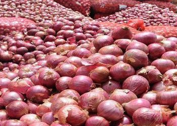 India Lifts Export Ban on Onions for Sri Lanka