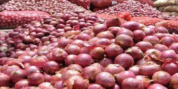 India Lifts Export Ban on Onions for Sri Lanka