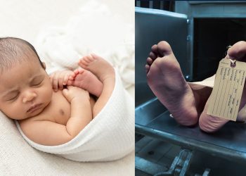 Drastic Decline in Birth Rates, Gradual Rise in Child Mortality, and Decrease in Marriages: Insights from Senior Professor Wasantha Athukorala, University of Peradeniya