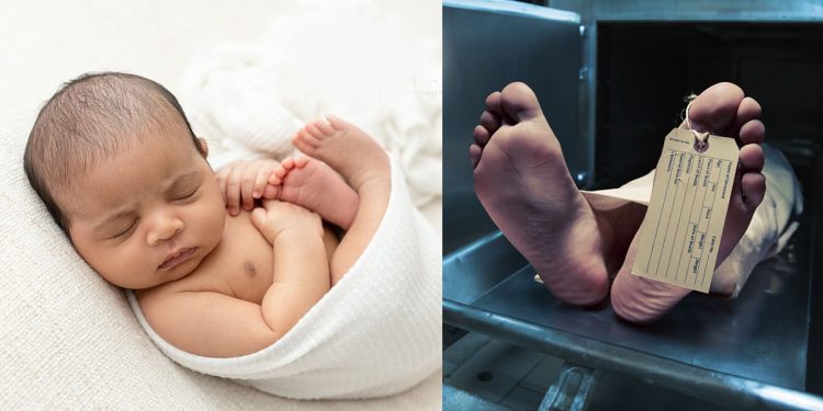 Drastic Decline in Birth Rates, Gradual Rise in Child Mortality, and Decrease in Marriages: Insights from Senior Professor Wasantha Athukorala, University of Peradeniya
