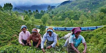 Estate Employers Set to Oppose Government’s 1700 Pay Gazette, Threatening Legal Action! Plantation Workers’ May Day Promise at Risk – Sri Lanka Latest News