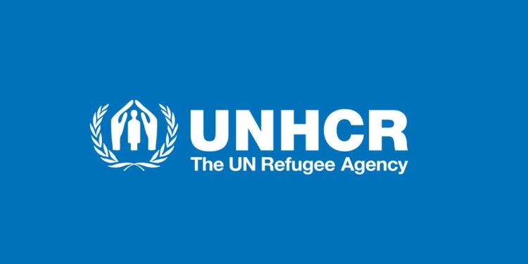 Fake Opinion Poll Using United Nations’ Name Exposed as Fraud – Don’t Be Fooled!