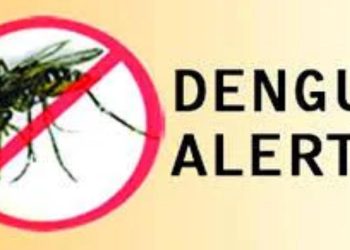 Dengue Outbreak: 25,000 Cases and 9 Deaths Reported in 5 Months