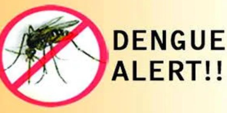 Dengue Outbreak: 25,000 Cases and 9 Deaths Reported in 5 Months