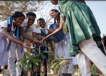 Unlocking A Balance Between Nature and Development