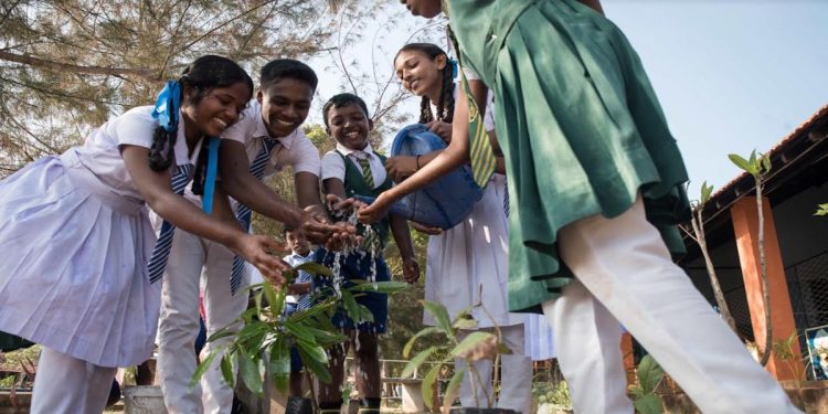 Unlocking A Balance Between Nature and Development