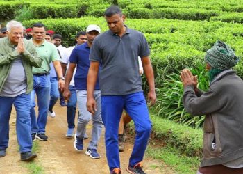 Hidden Agendas: How a Wage Hike Masks the Government’s True Intentions for Sri Lanka’s Tea Plantations