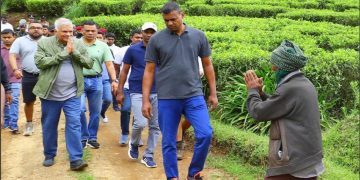 Hidden Agendas: How a Wage Hike Masks the Government’s True Intentions for Sri Lanka’s Tea Plantations