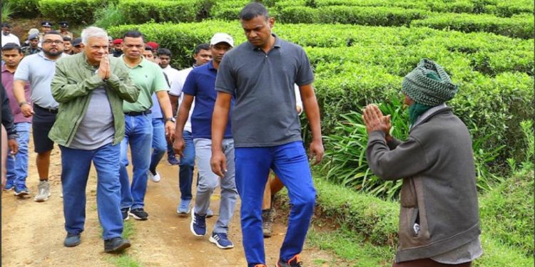 Hidden Agendas: How a Wage Hike Masks the Government’s True Intentions for Sri Lanka’s Tea Plantations