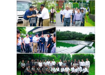 High-Level Thai Delegation Explores Renewable Energy Collaboration with Hayleys