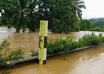 Extreme Weather Causes Seven Deaths in the Last 24 Hours