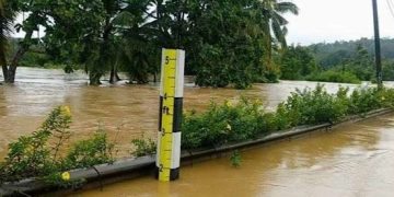 Extreme Weather Causes Seven Deaths in the Last 24 Hours