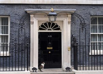 Britain’s true ruler? Larry the Downing Street cat