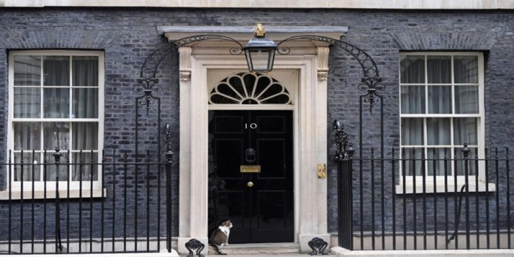 Britain’s true ruler? Larry the Downing Street cat